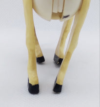 Load image into Gallery viewer, Farm White Horse