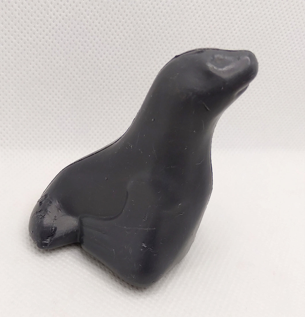 Zoo Seal