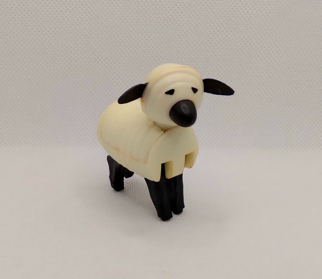 Farm Sheep